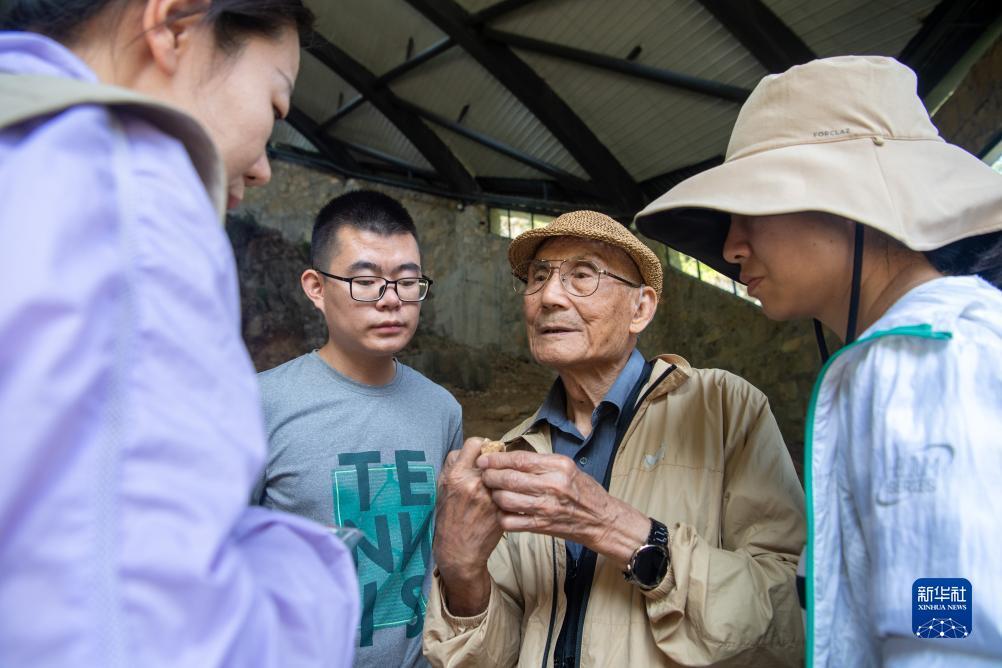 ea游戏平台下载